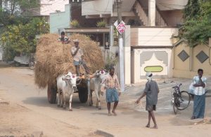 equipe humanitaire personnes dans la rue boeuf